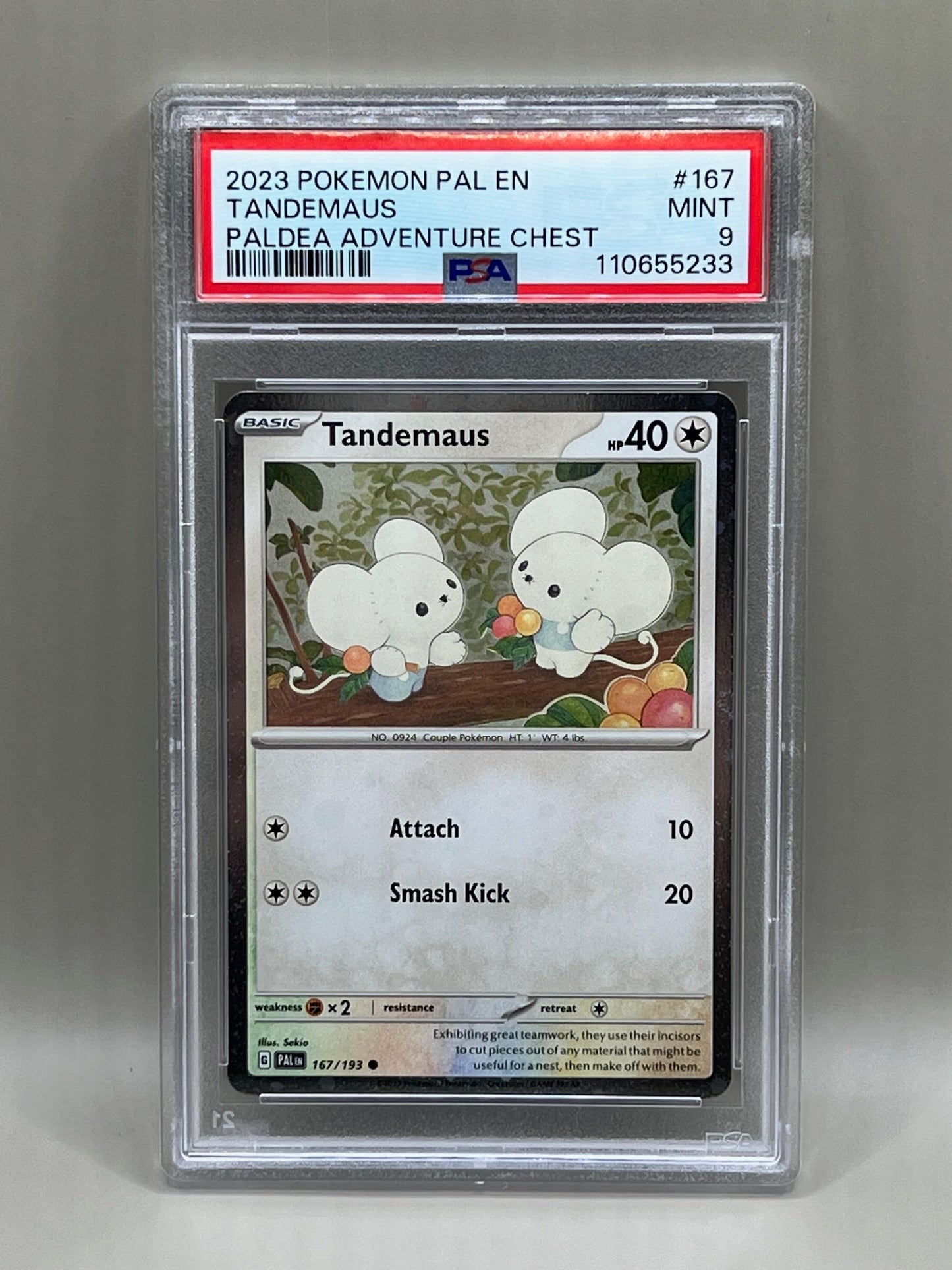 TANDEMAUS PSA 9 PALDEA ADVENTURE CHEST