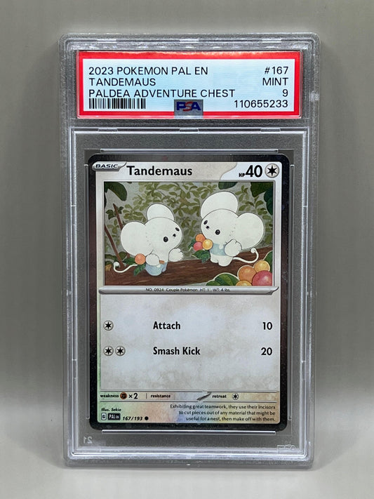 TANDEMAUS PSA 9 PALDEA ADVENTURE CHEST
